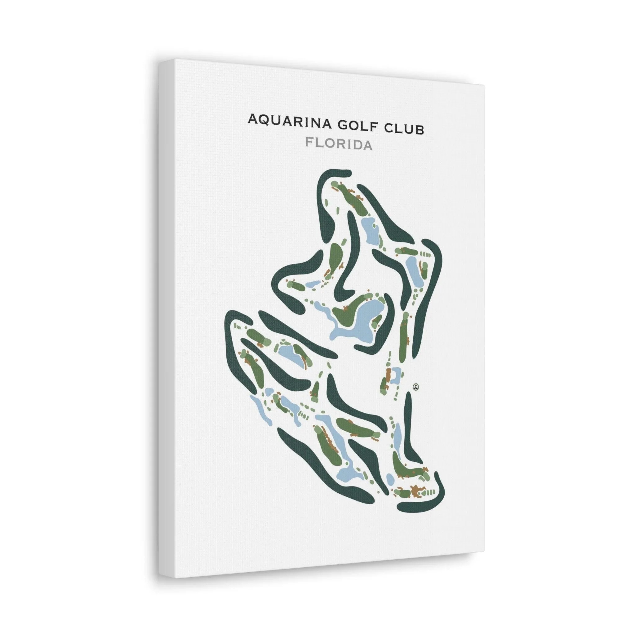 Aquarina Golf Club, Florida - Printed Golf Course