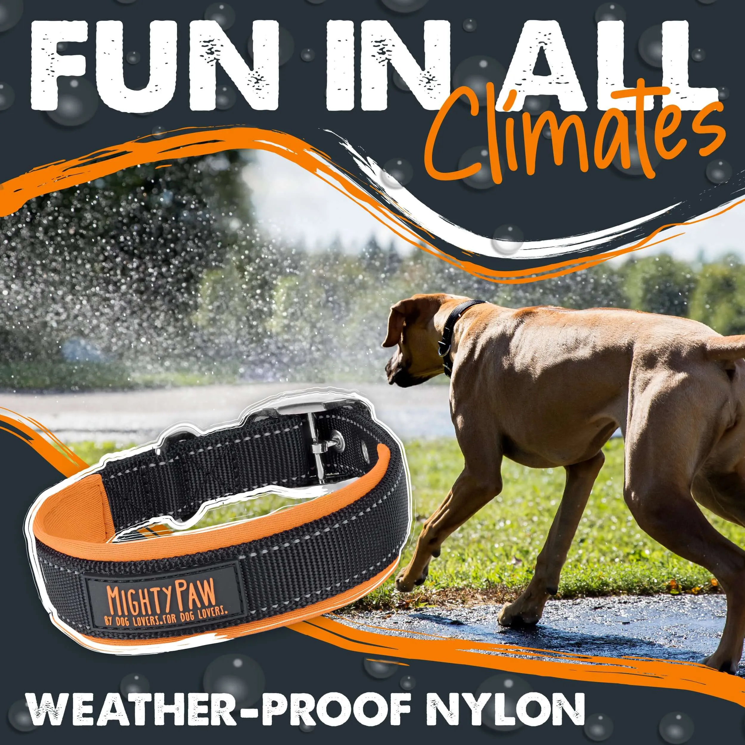 Mighty Paw Sport Collar 2.0 for Active Dogs