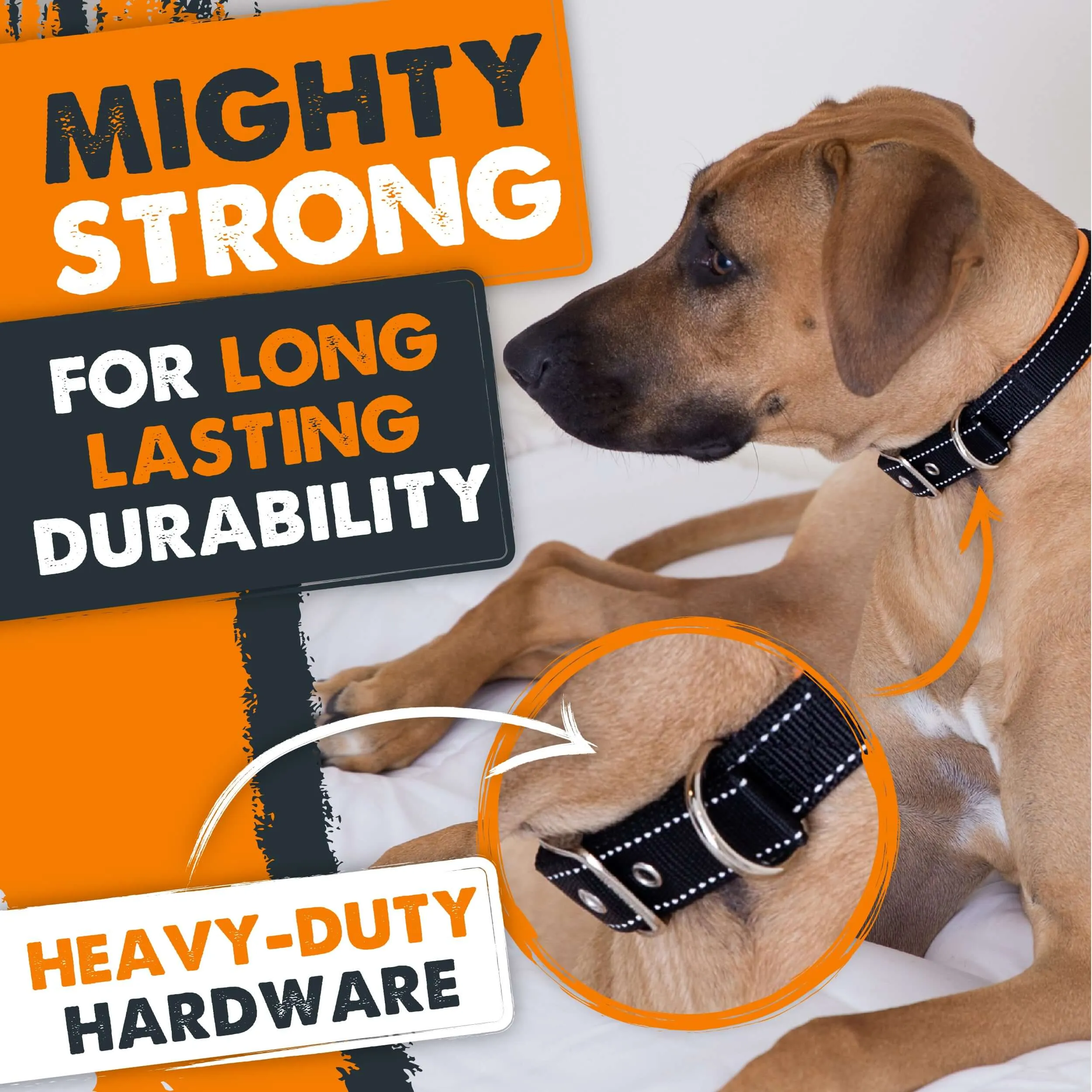 Mighty Paw Sport Collar 2.0 for Active Dogs